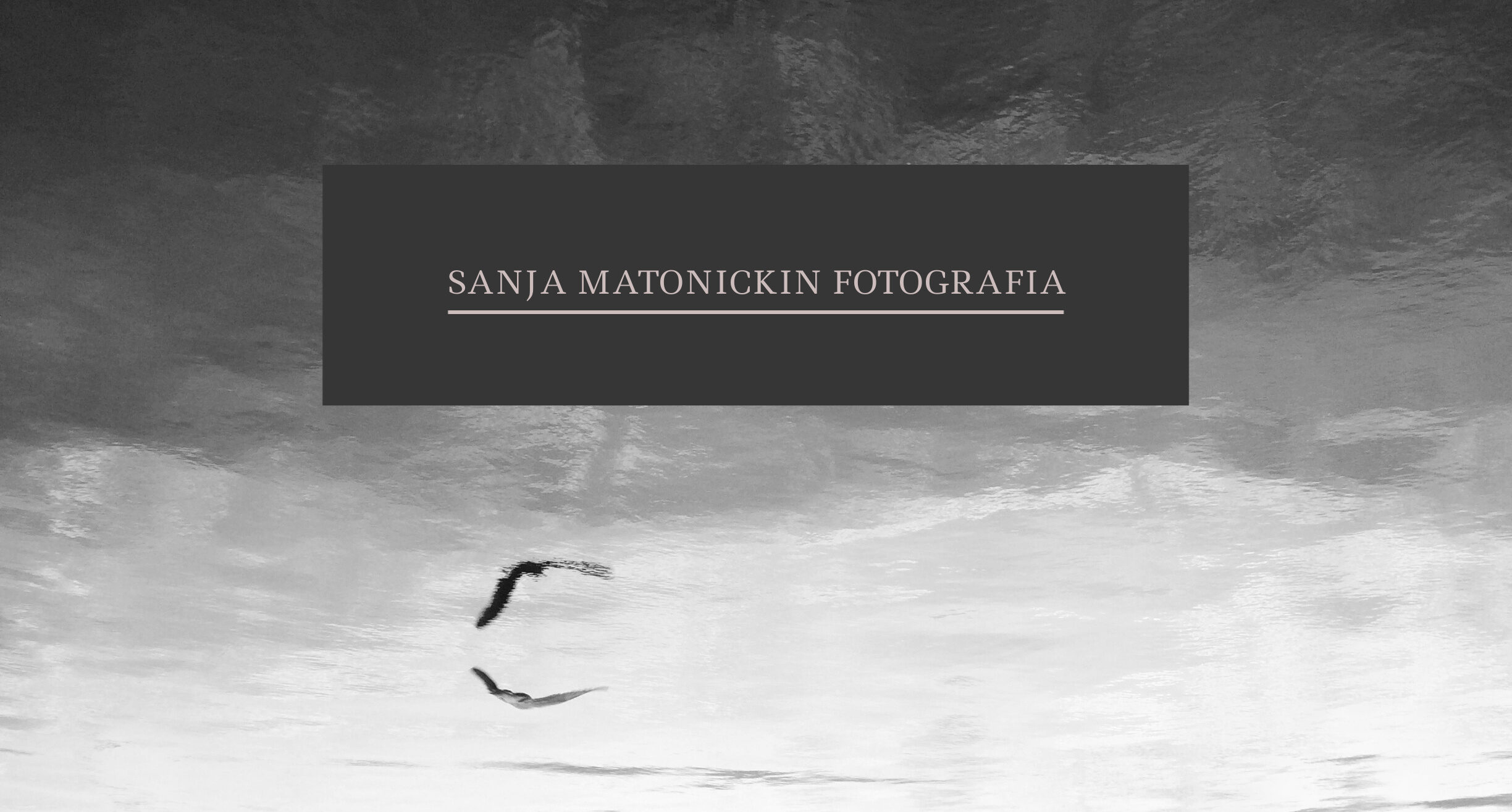 Sanja Matonickin
