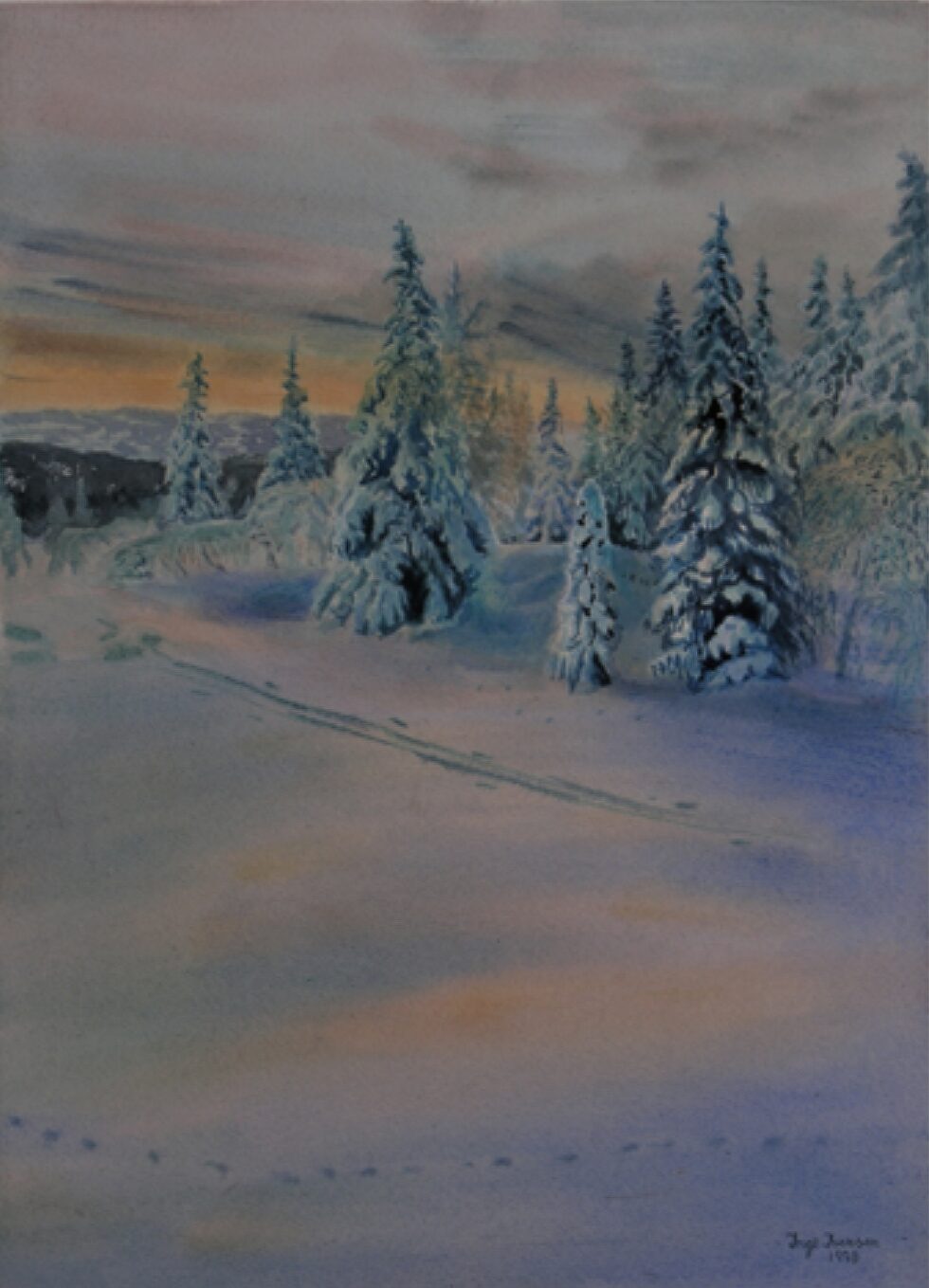 Cross country skiing. A winter landscape with snow covered trees from Norway. Tracks from skier and animal.