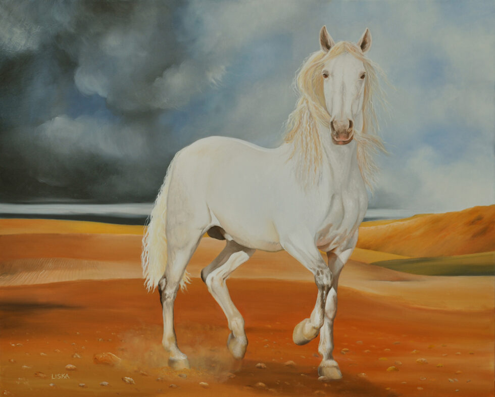 Andalusian stallion in the desert not far from the city of Dubai