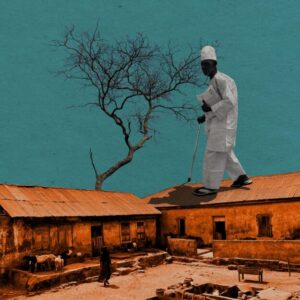 Old Trees Still Dance