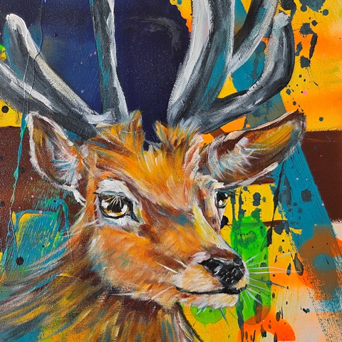 Deer cheeky - wild - unique