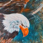 bald eagle king of the skies