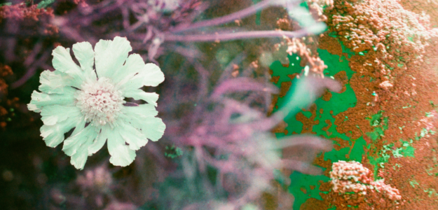 La Nomade Créations