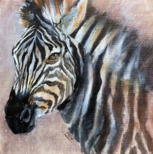 Zebra Portrait