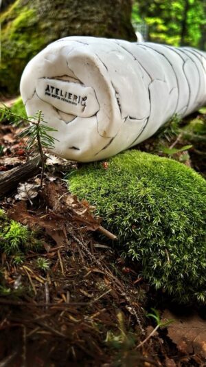 Forêt silencieuse 8/15