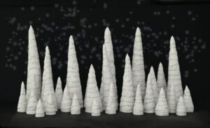 Sapins Blanc des Laurentides - L